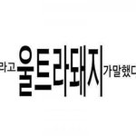 [댓글부탁해] 곤약<b>젤리</b> 맛있어?