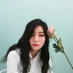 [댓글부탁해] 레드벨벳 슬기 <b>고양</b>이상이야? 강아지상이야?