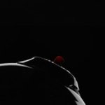 [방탄소년단] <b>심지</b>가 아예 붙어서 나오넴