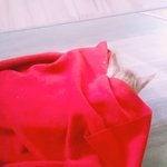 ㅋㅋㅋ<b>담요</b> 덮어줌ㅎ