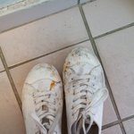 [EXO] 아 ㅆ1발 존 나 개빡친다 동생 미친년 죽여버릴까;;