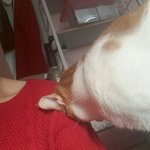 나의 동거남 <b>도칠</b>이 박치기