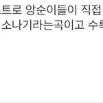 [세븐틴] 외쳐 갓지훈