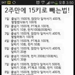 이 다이어트 <b>성공</b>한 사람 <b>후기</b>좀