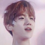 [EXO] 야 너네는 엑소 멤 하면 무슨 음식 떠오르냐