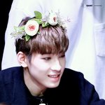 [세븐틴] 얘들아 '전원'우