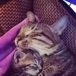 나 <b>오만</b>원 잃어버렸는데