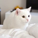 이제 10대판도 마지막이구<b>낭</b>