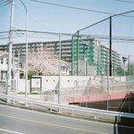 얘들아 나 일본