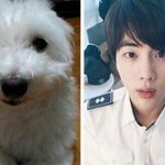 [방탄소년단] 와 진짜 똑같이 생긴 것 같아..