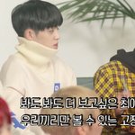 [세븐틴] ㅋㅋㅋ<b>준휘</b> 너무 귀여워