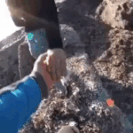 [댓글부탁해] He <b>better</b> hope the fall kills...