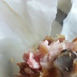 [EXO] 야 치킨안익은거먹으명러케돼..?