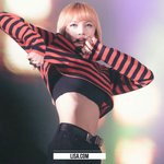 [댓글부탁해] 아이돌 <b>개미</b>허리 최강자....