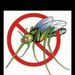 [세븐틴] 모기<b>박멸</b>보다 더 재밌는 플미충 <b>박멸</b>