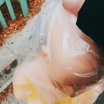 [EXO] ㅆㅂ 조카 쪽팔려