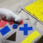 [강아지] <b>노즈</b>워크 구매해줬어용!ㅋㅋ