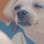 [조언부탁해] ㅈㅂ 도와줘ㅠㅠ전남친 허세부리는거 대처방법좀;;;(스압주의)