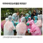 박원순 짤 공유<b>해조</b>