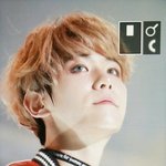 [EXO] 진짜 인간<b>모찌</b>다