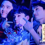 [EXO] 김종대 진짜 <b>도랏</b>나봐