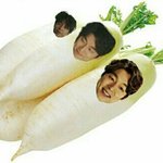 [댓글부탁해] 너희 주변 사람중에 <b>사물</b> 닮은 사람 있음??