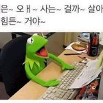 ㄹㅇ믿고거르는페북 댓글수준개딸림