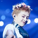 [EXO] 이 집마 사진 조카 잘찍음
