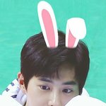 [EXO] 내심장 후드려패는 <b>교미</b> 준면이