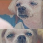 [BTOB] 꽃남 가는 사람...