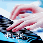 [세븐틴] 동생이 팬미팅 간다는데