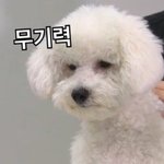 [EXO] 유기견 <b>보호</b><b>소</b> 봉사가는데 너무 춥다