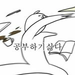 저녁밥으로 <b>계란</b> 몇개 먹을까