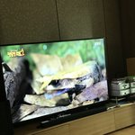 [EXO] <b>EB</b>에스 에서 숲속수사대하는데 개구리바