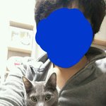 [고양이] 매우 언짢은 <b>울집</b> 냥이