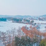 난 진짜 얼굴이 온도 영향 너무 많이 받아서 문제야