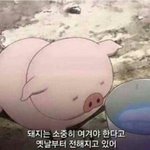 [드루와] 기숙사 가는 예비고1들!