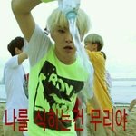 [세븐틴] 세븐틴 움짤 파뤼