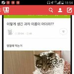 [드루와] 너희 고어물부심이라고 알아?;;;
