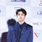 [세훈] 170119 <b>레드카</b>펫 고화질2