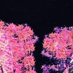 [EXO] <b>제발</b> 예쁜 준면<b>아</b> 무서워