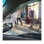 [세븐틴] <b>노홍철</b> 음주운전