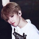[EXO] 근데 ㄹㅇ 궁금함
