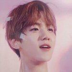 [EXO] 변백현 레전드사진 이거 사랑<b>어필</b>껀데 왜 로고크롭이냐ㅡ