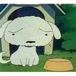 들키고싶지 않은 과거 적고가.