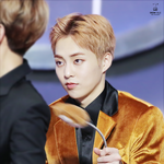 [시우민] (시우민)<b>어서</b> 나와 놀아달라! 닝겐ㅇAㅇ