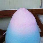 [세븐틴] ㅅㄷ) 공식색 솜샤탕