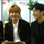 [백현] 백현이 <b>웰시</b>코기 부심