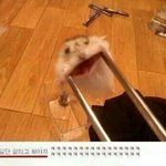 이건 봐도봐도 웃김ㅋㅋㅋㅋㅋㅋㅋ