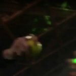 [EXO] 니네 그거봣냐 오세훈사인볼가지고 <b>밀당</b>하는거